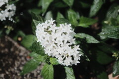 R4.06.03_神戸市内⑤