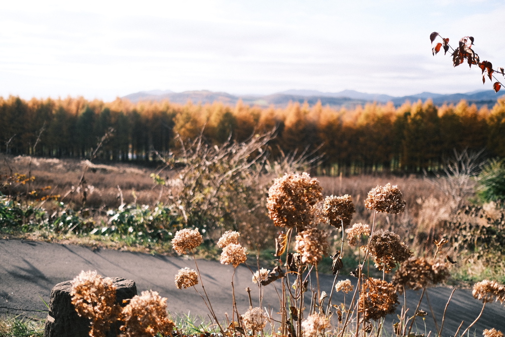 R7.11.09_夫婦温泉旅行in函館⑧