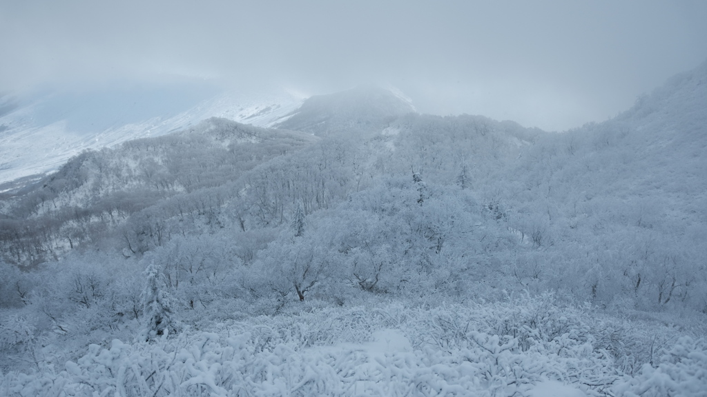 R3.12.05_風不死岳③