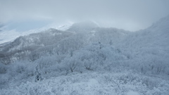 R3.12.05_風不死岳③