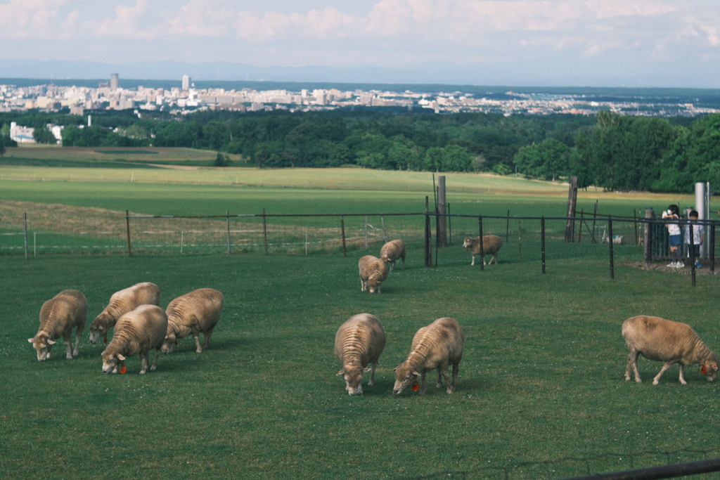 R5.07.04_両親北海道旅行②
