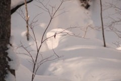 R5.01.08_百松沢山①