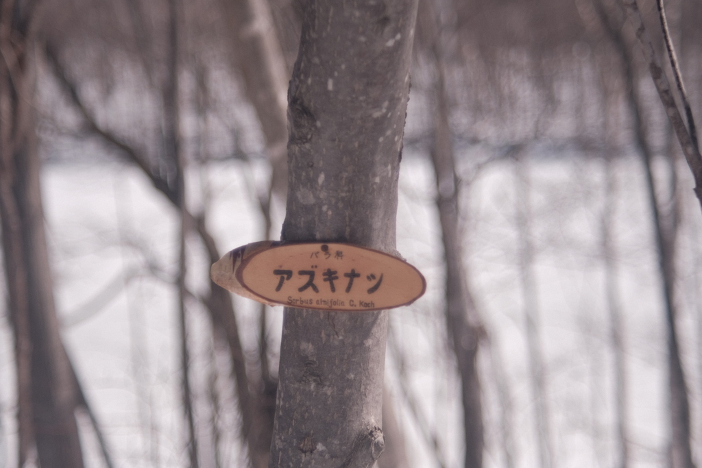 R4.03.27_西岡公園⑥