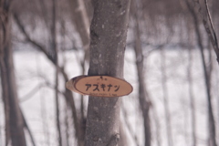 R4.03.27_西岡公園⑥