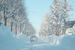 R4.01.23_野幌森林公園①