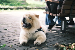 R5.09.17_千歳サーモンパーク②