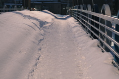 R5.02.22_夕方散歩⑥