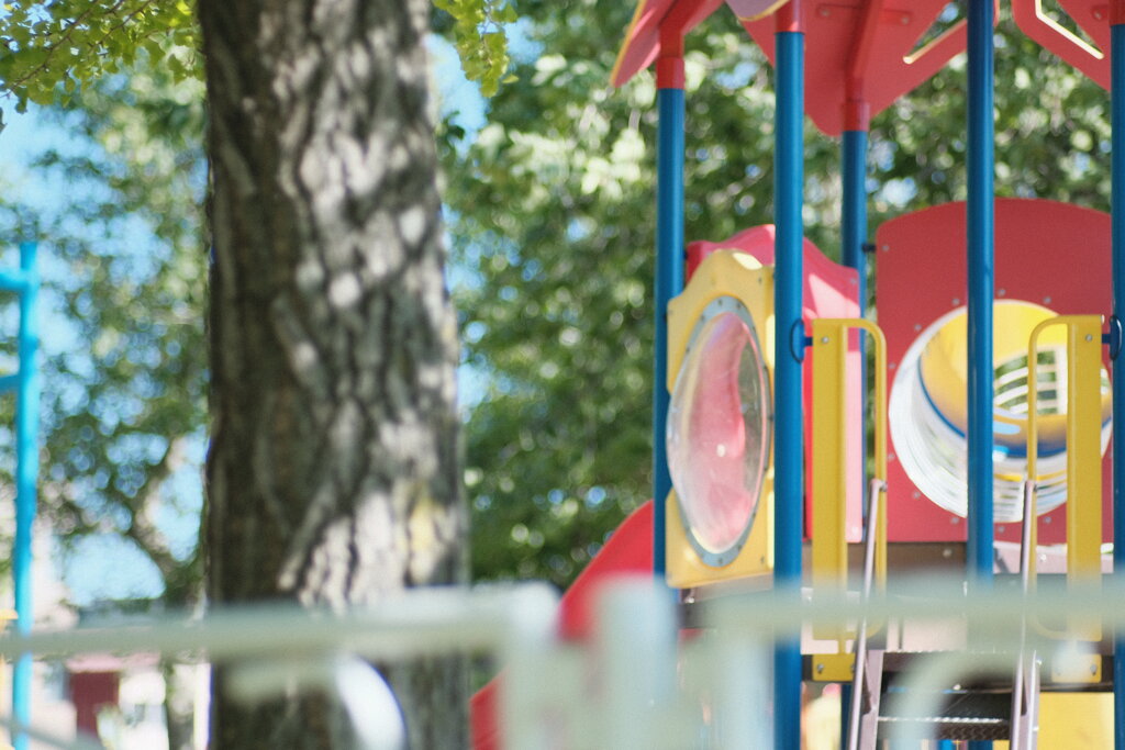 R4.06.12_夫と散歩②