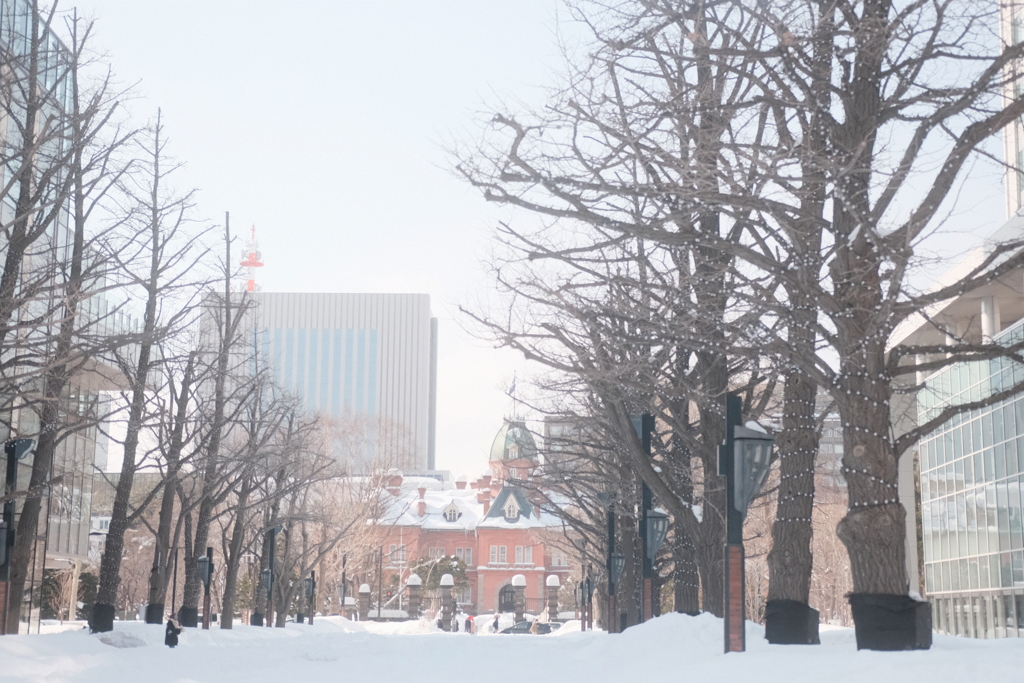 R4.02.12_北海道旧庁舎前②