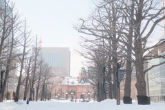 R4.02.12_北海道旧庁舎前②