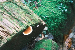 R5.09.10_夫婦登山_恵庭岳④