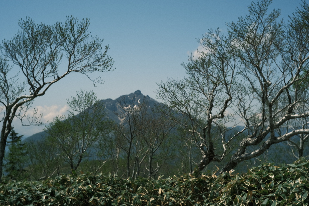 R5.05.20_夫婦登山_イチャンコッペ山④