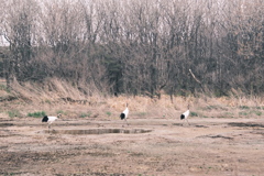 R5.05.04_夫婦旅行_網走知床㉑