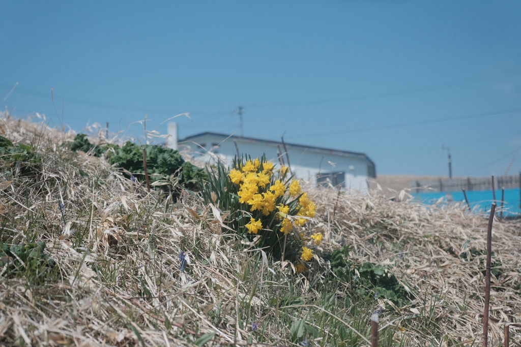 R4.05.06_襟裳岬②