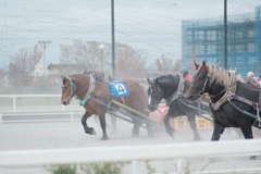 R4.05.01_帯広ばんえい競馬⑤