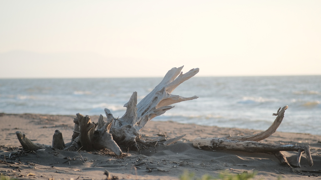 R3.07.31_石狩市はなますの丘②