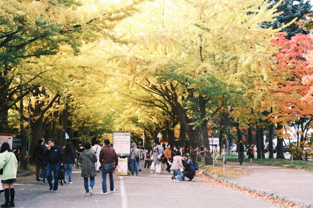 R5.10.29_北海道大学⑩