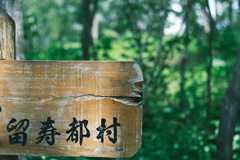 R7.06.15_夫婦登山_尻別岳②