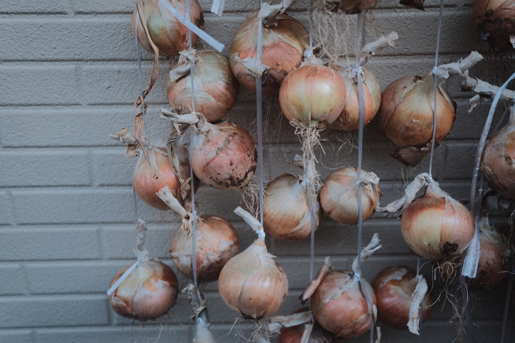 R4.06.04_実家にある玉ねぎ