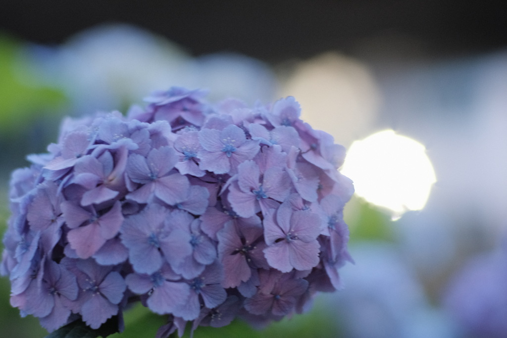 R4.06.16_東京出張4日目①