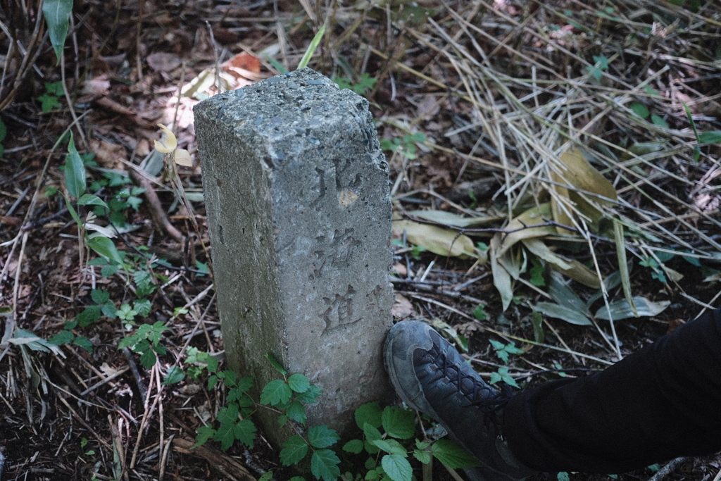 R4.07.03_夫婦登山_イッチャンコッペ山②