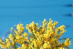 R4.06.12_夫と散歩⑥