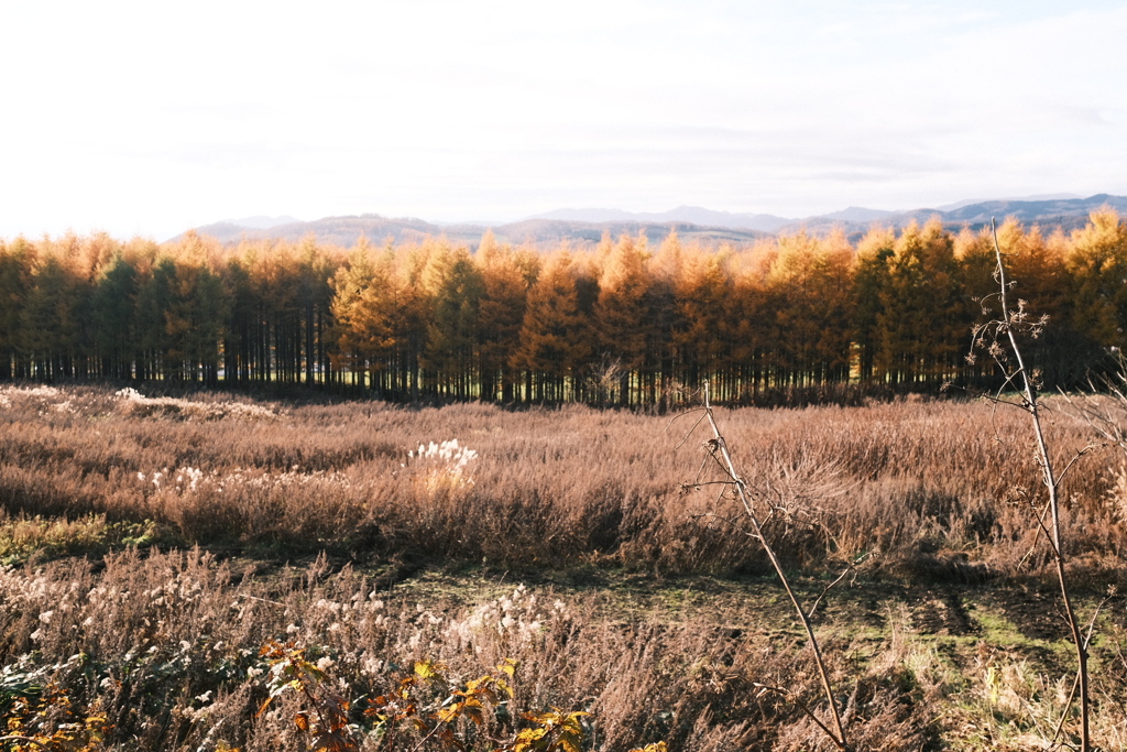 R7.11.09_夫婦温泉旅行in函館⑨