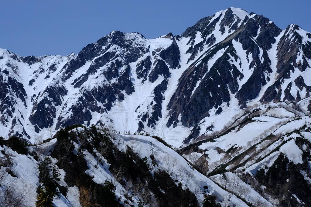 残雪期の五竜岳　ー小遠見山よりー