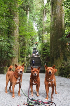 お参り