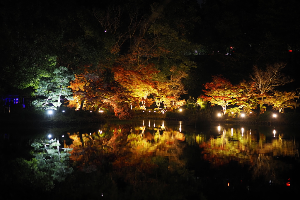 紅葉ライトアップ３