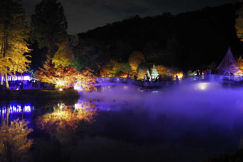 紅葉ライトアップ５