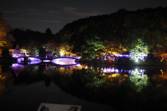 紅葉ライトアップ４