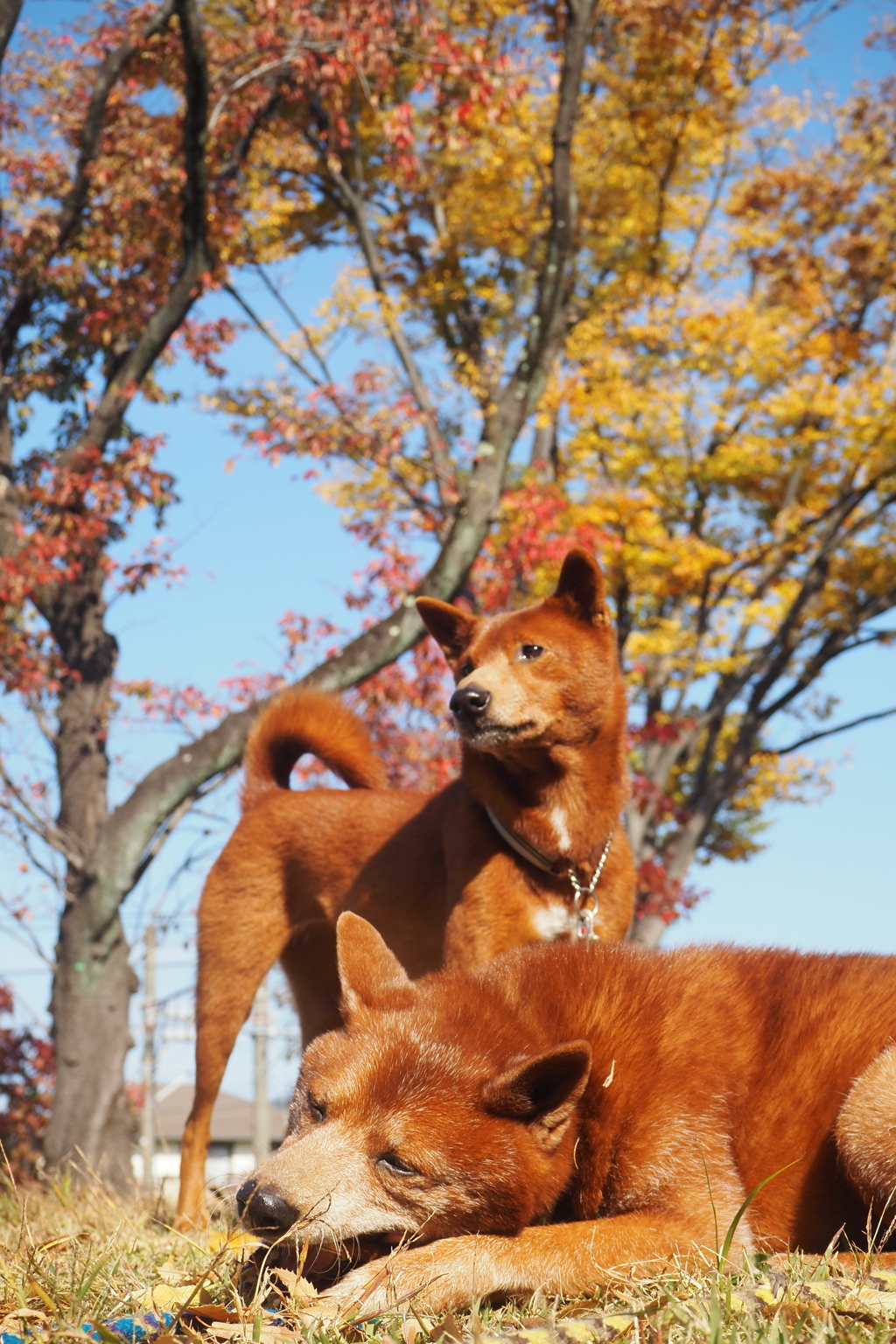 好みが一緒な父娘