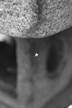 IMG_3942