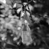 IMG_3926