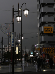 千川を散歩