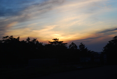 DSC_9354