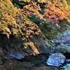 渓流の秋②