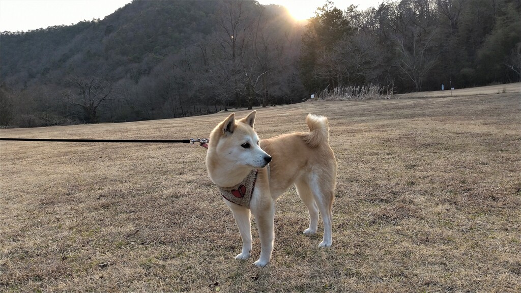 日が沈む