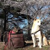 旧中山道