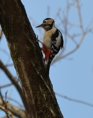 偵察から一ヶ月