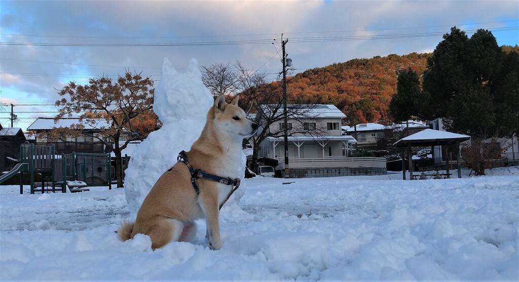 トトロ