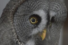 何か問題でも！