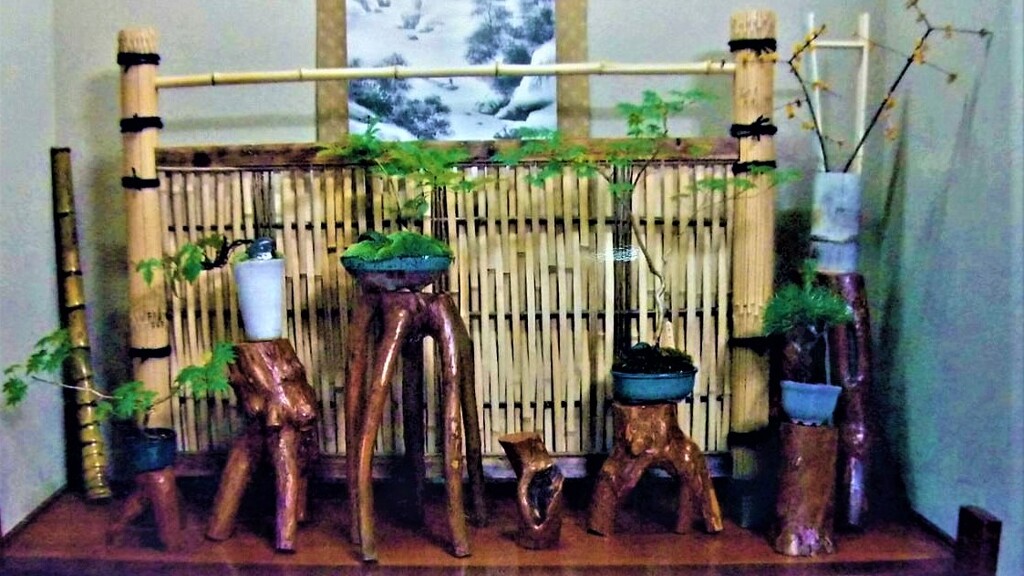 竹垣とミニ盆栽