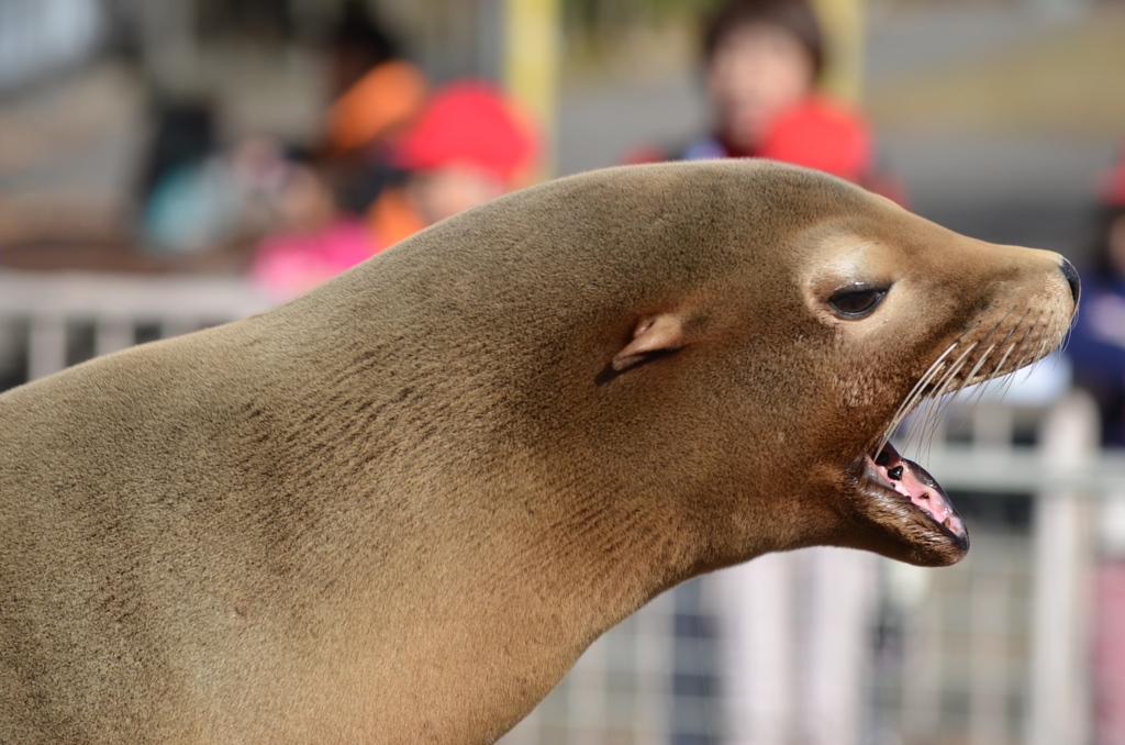 お口をあけて！