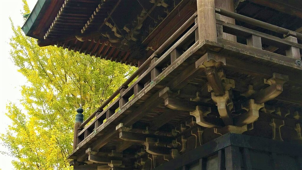 鐘撞堂と銀杏