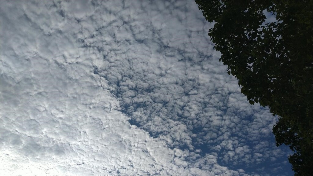 ウロコ雲