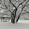 雪景色