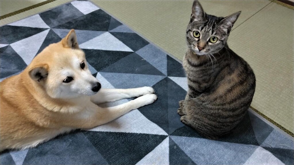 ひと息