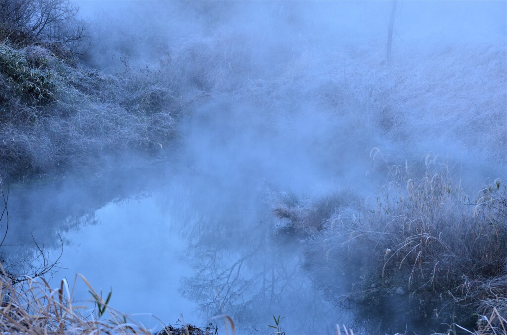 朝霧